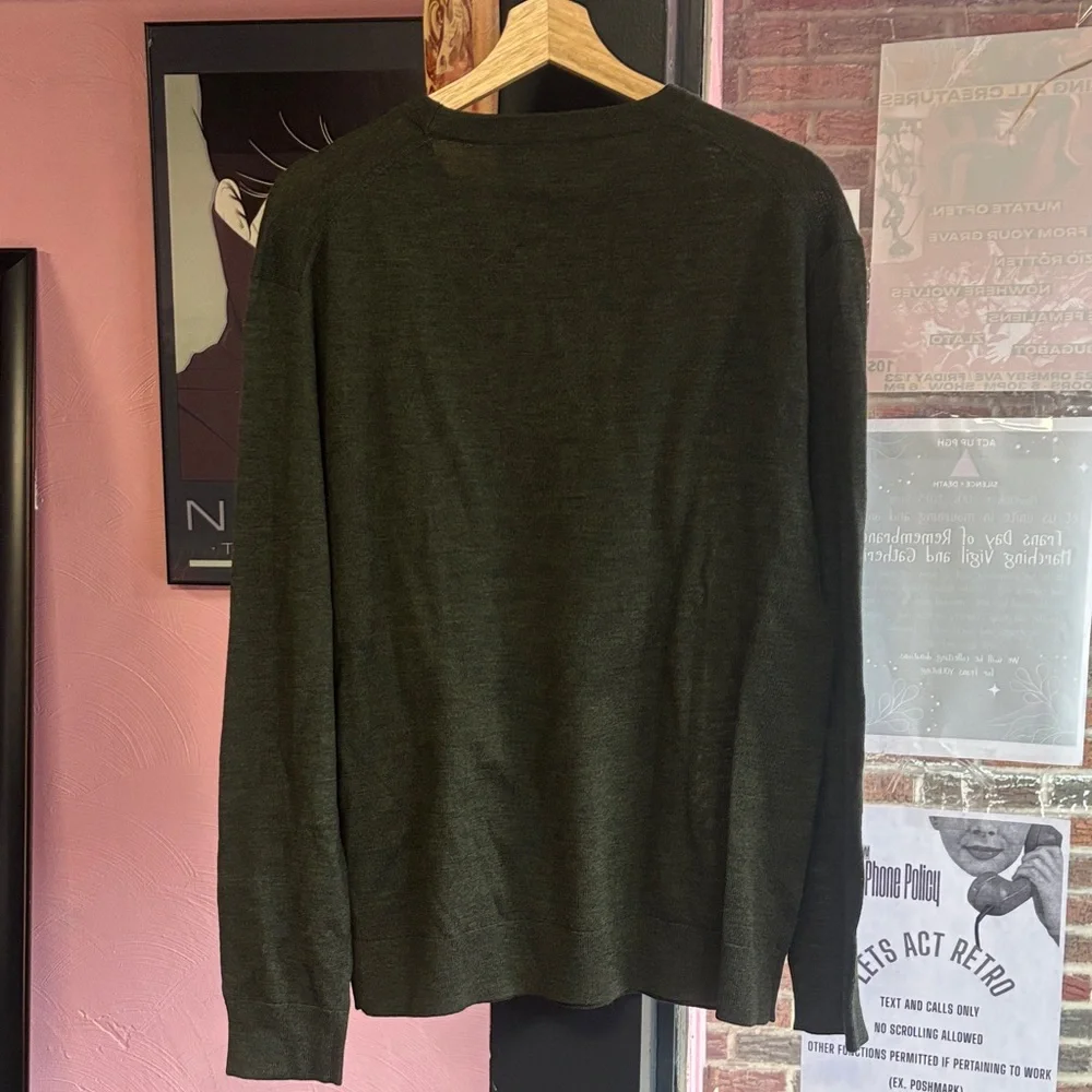 Banana Republic Dark Green Merino Wool Knit - Picture 3 of 4